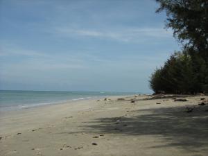 Pohon Batu Beach
